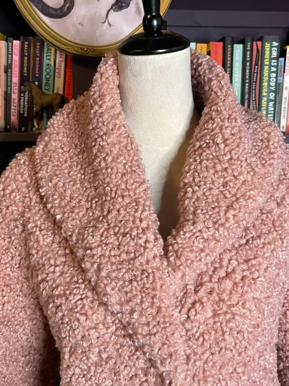 Soft Pink Fuzzy / Teddy Coat - Picture 4 of 8